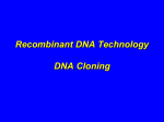 Restriction Enzymes and DNA Ligase