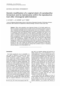 Genetic modification of a vaginal strain of L actobacillus fermentum