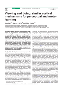 similar cortical mechanisms for perceptual and motor learning