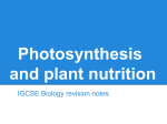 Photosynthesis revision slides File