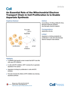 An Essential Role of the Mitochondrial Electron Transport Chain in