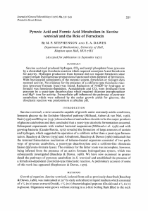 Pyruvic Acid and Formic Acid Metabolism in Sarcina