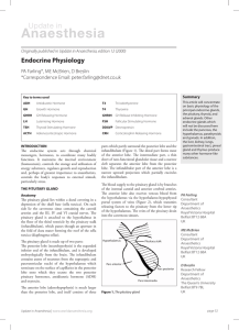 Endocrine Physiology - e-safe