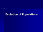 Evolution of Populations Summary of Natural Selection