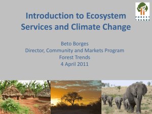 Introduction to Ecosystem Services and Climate Change, Borges 2011