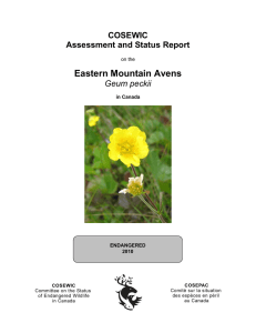 COSEWIC Assessment and Status Report on the Eastern Mountain