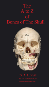 The A to Z of Bones of The Skull