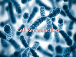 Cell Reproduction - Killingly Public Schools
