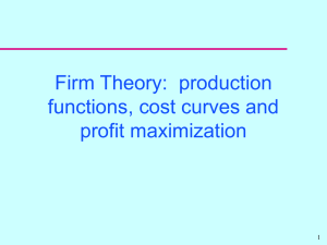 Firm Theory - Cornell University