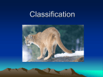 Classification.pps