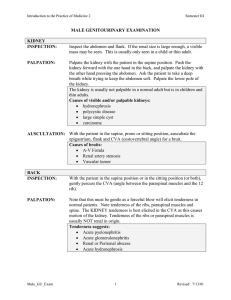 MALE GENITOURINARY EXAMINATION