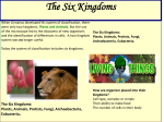 The Six Kingdoms - CRMSLessonPlans