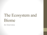 The Ecosystem