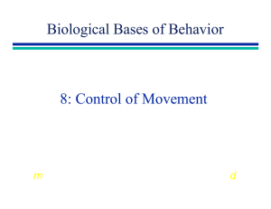8: Control of Movement Biological Bases of Behavior