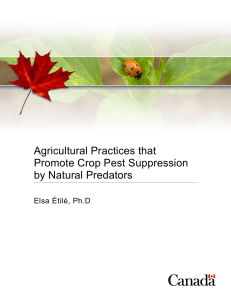 Agricultural Practices that Promote Crop Pest suppression by