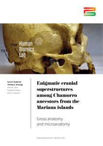 Enigmatic Cranial Superstructures Among Chamorro Ancestors