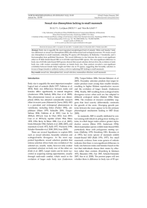 Sexual size dimorphism lacking in small mammals