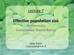 Lecture 7 Effective population size Linkage disequilibrium basics