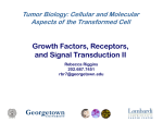 Signal Transduction II