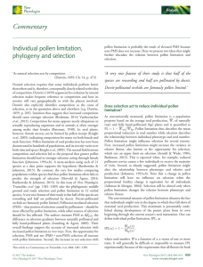 Individual pollen limitation, phylogeny and selection