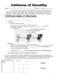 Patterns of Heredity Note Packet