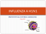 H1N1 Guidelines in Power Point Show (PPS format)