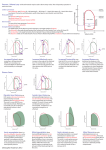 Cardiac Output 2