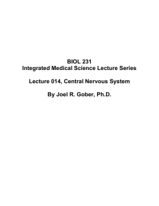 Lecture 015, CNS - SuperPage for Joel R. Gober, PhD.