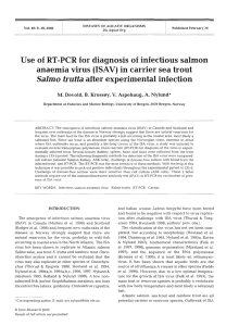Use of RT-PCR for diagnosis of infectious salmon anaemia virus
