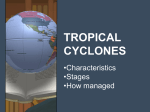 TROPICAL CYCLONE - D6 Admin system