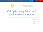 Cell cycle`s deregulation and cardiovascular diseases