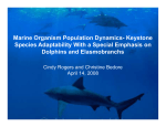 Marine Organism Population Dynamics