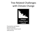 Tree Related Challenges with Climate Change