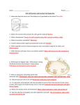 Cell structure and function test review key
