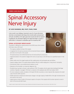 Spinal Accessory Nerve Injury