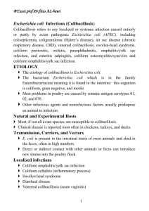 E. coli infection.