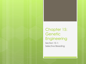 Chapter 15: Genetic Engineering