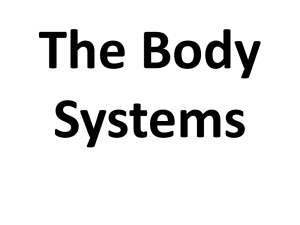 The Digestive System