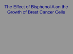The Effect of Bisphenol A of the Growth of Brest Cancer Cell