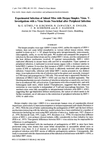 Experimental Infection of Inbred Mice with Herpes Simplex Virus. V