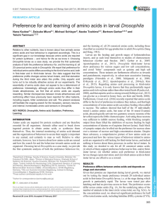 Preference for and learning of amino acids in larval Drosophila