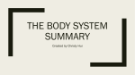 The BoDy SyStem Summary