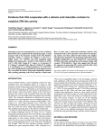 Evidence that Shh cooperates with a retinoic acid inducible co