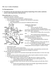 PBL- Case 1: Cardiac Arrhythmias Pre