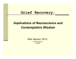 Implications Of Neuroscience And Contemplative