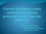Climate diplomacy under related international processes other than
