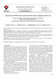 Expression of NADPH-d in the vagal nuclei of the