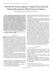 Toward the Neurocomputer: Image Processing and Pattern