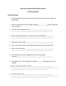 INFECTIOUS DISEASES/PANSYSTEMIC DISEASES LECTURE