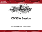 CMSSW Session